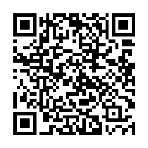他们便献祭了千万以上的海族进入这诡异的漩涡之中二维码生成