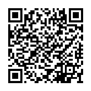 他们便被云飞凤一声冷哼给震得从空中掉了下来二维码生成