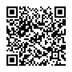 他们俩一起来参加宴会是想向公众传达什么信息呢二维码生成