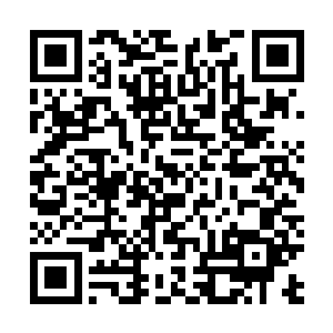 他们俩人的存在就是为了解决掉这辆在暗处保护的面包车二维码生成