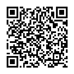 他们做梦也不会想到他们竟然会惹到一个如此恐怖的怪胎二维码生成