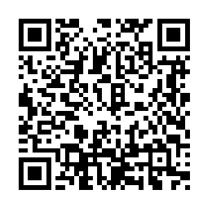 他们做梦也没想到一个区区举霞后期境界的散修二维码生成