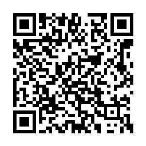他们做梦也没想到那个年轻人竟然是他们的叔爷二维码生成