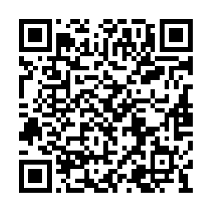 他们做梦都没想到血杀楼竟然会在这个地方动手二维码生成