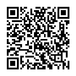 他们像是拖死狗一样把我丢在院门外――你不为自己着想二维码生成