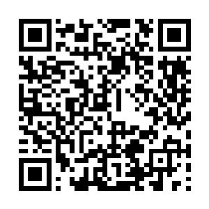 他们兄弟几个刚回爬母亲就教他们吃了东西要洗手二维码生成