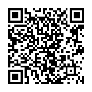 他们充满期待的目光角棕熊背上的那位美绝人寰的绝世少女二维码生成