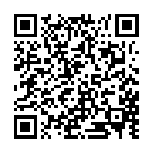 他们先前已经被科普了关于大世界与小世界的区别二维码生成