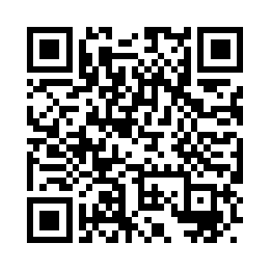 他们全部成了人类动物园里关着的玩物二维码生成