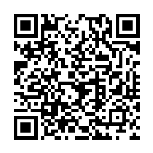 他们全都是三清玄洞在玄天三界中招收的精英弟子二维码生成