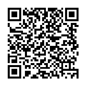 他们全都比你更高明……因为他们身上有着一些你所没有二维码生成