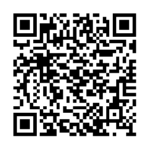 他们其实也想要选择个恰好是最大射程的掩蔽处二维码生成