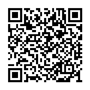 他们再临死之前都希望自己的本事可以有人学走二维码生成