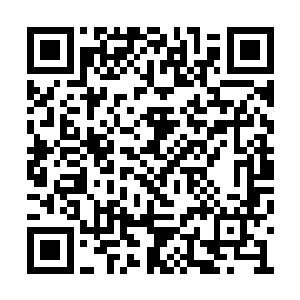 他们准备分五年给古大巨的种植基地注资一百亿二维码生成