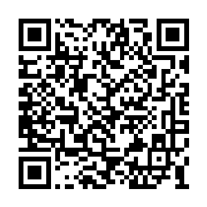 他们几个人真的就打算冲进去跟秦方同生共死了二维码生成