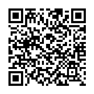 他们几个修为不够的吞服了我事先交给他们的广陵丹二维码生成