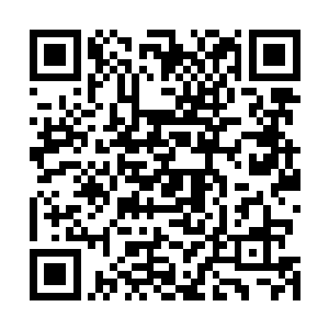他们几个老家伙经过这么多年仍旧没有找到任何的突破口二维码生成