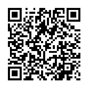 他们几乎全部被这可怕的能量光柱和弹雨所覆盖二维码生成