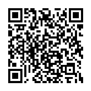 他们几乎都是在踏雪无痕墨角腾云兽地盘呆过的二维码生成