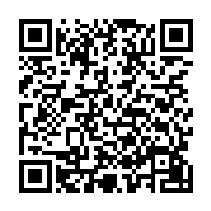 他们几乎都有了自己的分封领地以及无数农奴供他们使唤二维码生成