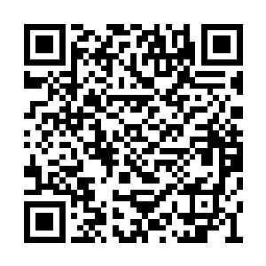 他们则是不认为于振鹏一方能够抢得过韩风两人二维码生成