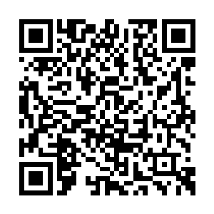 他们则是可以靠着虫角和虫骨来提升自己的力量二维码生成