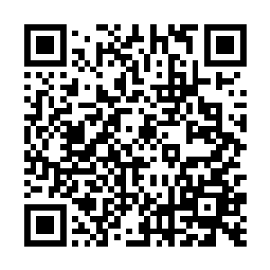 他们利用他们的控蛇技巧来达到自己各种各样的目的二维码生成