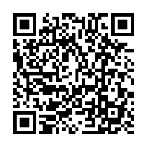 他们到现在更加深刻地认识到了仙帝到底有多么丧心病狂二维码生成