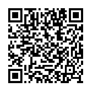 他们办下了香格里拉饭店十九层的所有总统套房二维码生成