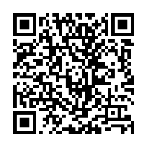 他们务必要设法把这支海族军队困在鳄蛟岛上至少十年二维码生成