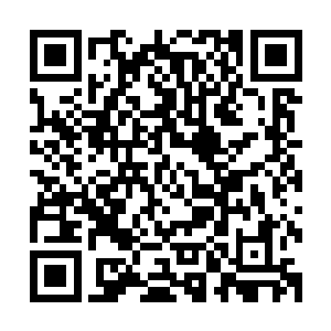 他们努力了无数亿万年都没有寻找到突破至圣级大圆满的路径二维码生成