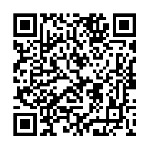 他们十人的身上同时爆发出一股震天裂地的恐怖骑士二维码生成