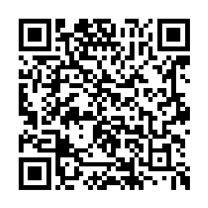 他们十人都各自在自己原本负责的地区进行活动二维码生成