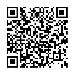 他们却仿佛来到了一个畜养什么生物的房间一眼二维码生成