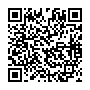 他们却是再次自被他们敬仰有加的主母口中听到这种话二维码生成