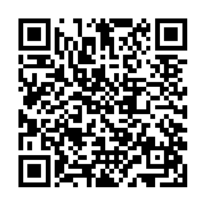 他们却这么多天都不回来……当然不会是出去旅游了二维码生成