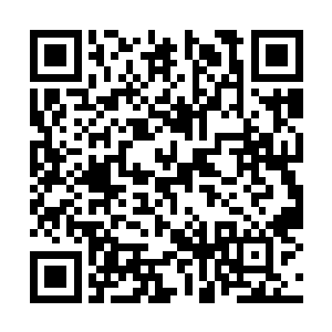 他们历经了这么多的磨难终究没有换的安静的生活二维码生成