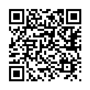 他们压根没给自己打过一个电话……二维码生成