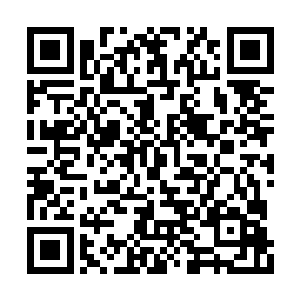 他们原本和我们一样并不是这片荒原上的原住民二维码生成