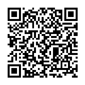 他们原本是要利用顺妃离间大皇子和皇后之间的关系二维码生成
