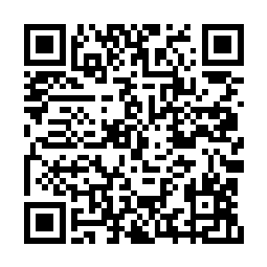 他们又怎么可能喝上这严经理精心藏着的好茶呢二维码生成