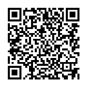 他们又是想起了叶然生猛力挫六大学院的事情了二维码生成