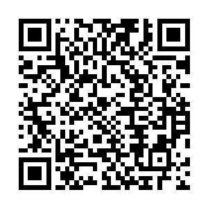 他们发现交易区内的两个重要人物征罗和多康都有些异常二维码生成