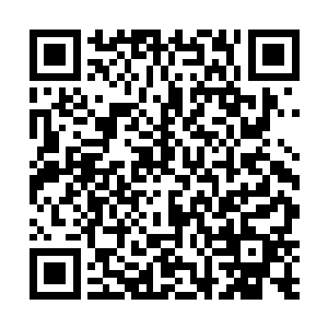 他们发现这个宇宙正是诸葛正纯体内撼天魔猿的发源地二维码生成