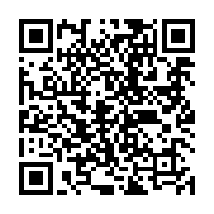 他们只不过是一个被人踩在脚下的反派小混混角色而已二维码生成