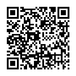 他们只会以为是因为你今天在角斗场里见到那个人二维码生成
