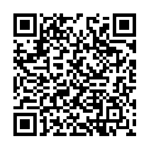 他们只勉强拿出了一个已经快要被版本淘汰的龙女二维码生成