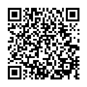 他们只感觉一股温润浑厚的能量顿时从他们的丹田之处涌出二维码生成
