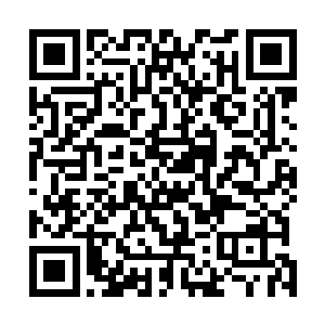 他们只是本能的感觉到悲鸣森林里面的情况有点不同寻常二维码生成