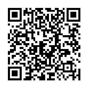 他们只是死死地将柯震按在了地上而不敢有任何的异动二维码生成